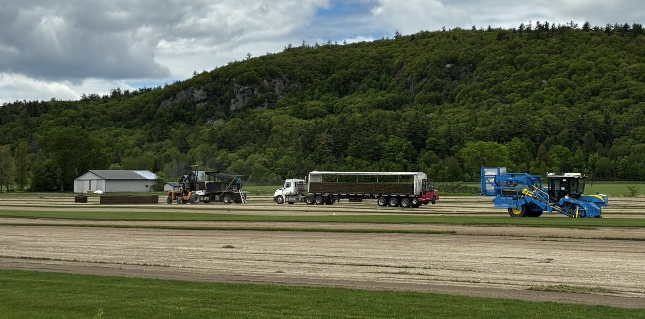 Harvest underway in the sod fields at Mountainview Turf, Quyon, Quebec